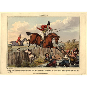 Hallo you ditchers why the devil did you not sing out? You have no Notion what injury you may do my horse.