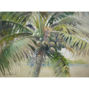 [Coconut Palm] watercolor by Sandor Bernath