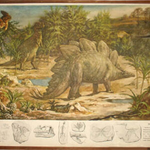 Dinosaurs of the Jurassic Period