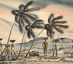 Bringin' Charcoal - St. Thomas Virgin Islands