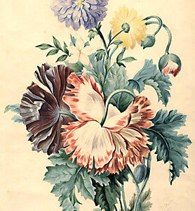 Watercolor Floral Bouquet