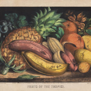 Fruits of the Tropics