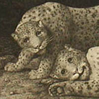 Mammals