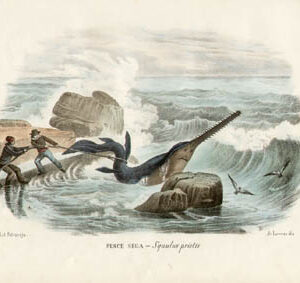 Natural History Studies of Fish