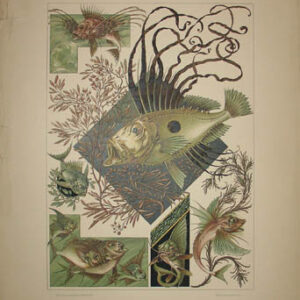 Seder, Plate 3, Fish. Fish against a backdrop of geometric shapes and flowing seaweed.