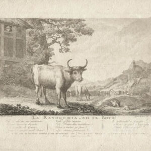 The Frog Who Would Grow as Big as the Ox