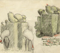 Storks in Formal Gardens