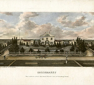 Shoosharry, near St. Petersburg, Russia