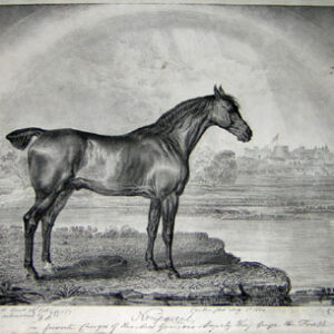 Portraits of "Celebrated Horses"