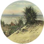 Beach House