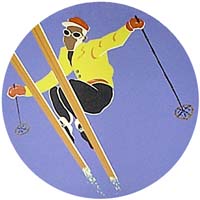 Ski Mountain Lodge