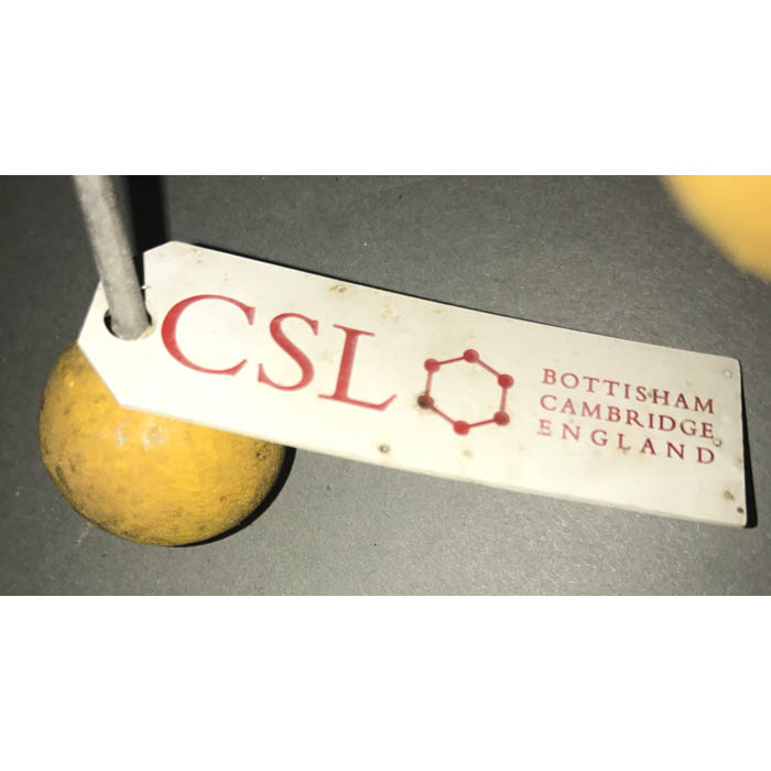 Iron Sulfide Molecular Model Label