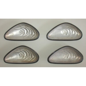 Shell Form Dishes,, Silver Plate and Glass, Set of 4