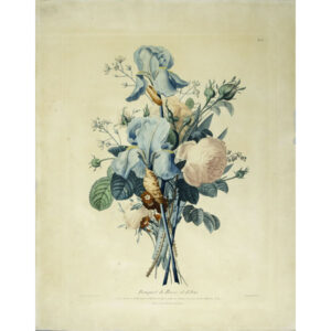 Prevost Antique Botanical Print Bouquet Roses Iris