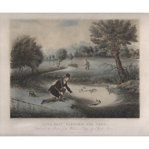 Live-Bait Fishing for Jack