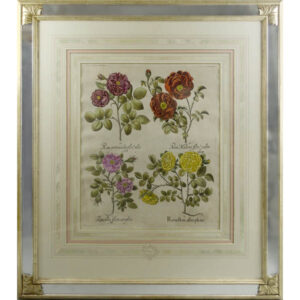 Besler Roses print in mirror frame