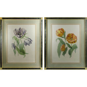 Susie Ray, Pair of Tulip Watercolors