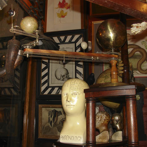 Phrenology head and tellurian