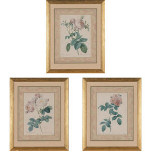 Set of three framed Redoute Roses