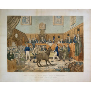 Martin Act Animal Rights Trial Scene