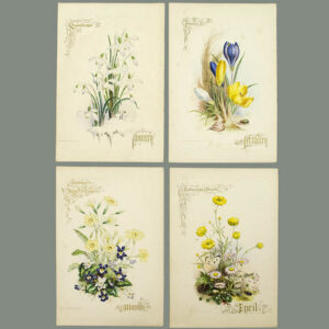 Paul Jerrard 12 Months of Flowers