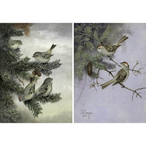 Pair of Steffen bird paintings: Kinglet and Sparrow