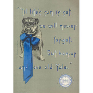 Yale Bulldog poster