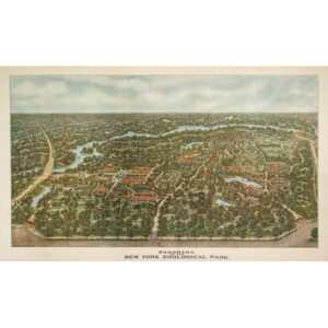 Panorama of the New York Zoological Park